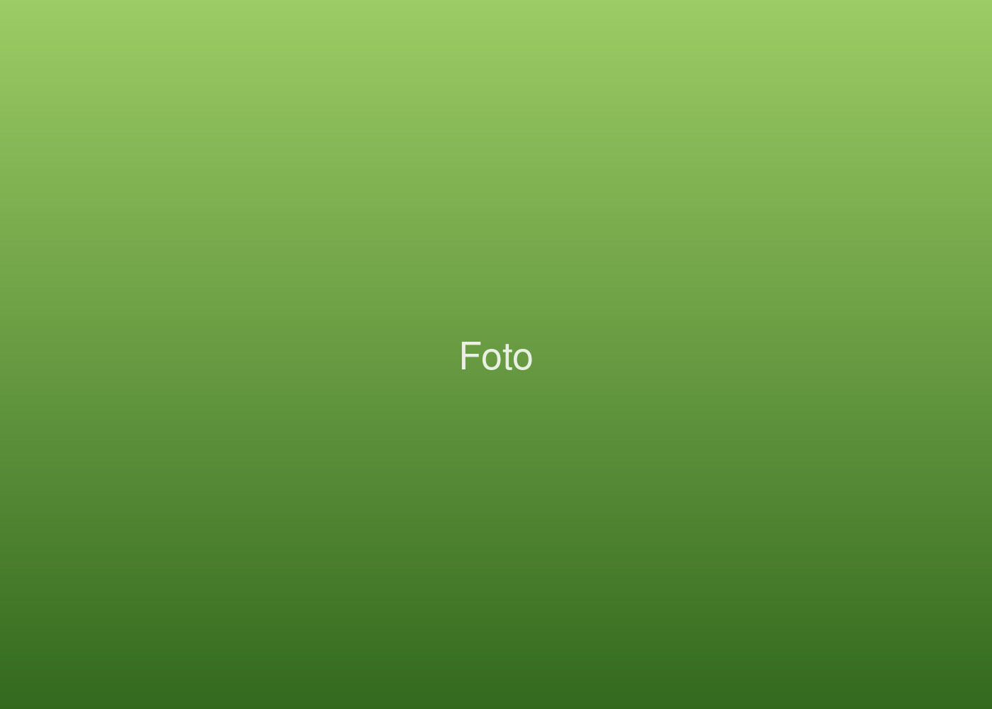 Verdulería Don Tito — foto 2